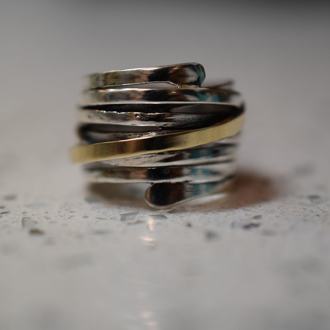 Coastal Current Ring